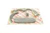 Купить Комплект цепи ГРМ Audi A4/A5/A6/A7/A8/Q5/Q7 2.7/3.0 TDI 07-18 AIC 70019Set (фото2) подбор по VIN коду, цена 11636 грн.