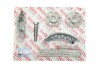Купить Комплект цепи ГРМ MB Sprinter 2.2CDI OM651 09- (+2 шестерни) (с покрытием TRITAN®) AIC 73518SET (фото1) подбор по VIN коду, цена 15152 грн.