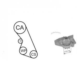 CITROEN Комплект ГРМ (помпа + ролик + ремень) BX 1,6 1,9 92- XANTIA 1,6i 1,8i 93- ZX 1,6i 1,8i Peugeot 405, 306, 406, 806, Partner, Citroen Xsara, Berlingo, Peugeot Expert AIRTEX wpk-135901