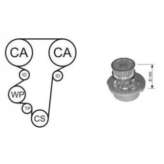 Комплект ГРМ (ремень + 3 ролика + помпа + крепление) Opel Astra G,Corsa C 1.4/1.6 98- AIRTEX wpk-144602