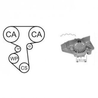 CITROEN Комплект ГРМ (помпа з прокл. + ремінь + 2 ролики) XANTIA 1.8 95-01, XSARA Break 1.8 97-00, PEUGEOT 306 1.8 97-01 AIRTEX wpk-156402