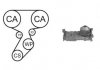AIRTEX Комплект ГРМ (ремень+ 2 ролика + помпа с прокл. + крепление)  Renaul Kangoo 1.6, Megane 1.6 01- WPK-164101