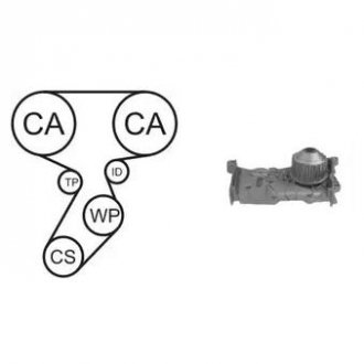 Водяний насос + комплект зубчатого ременя Dacia Logan, Renault Clio, Laguna, Megane, Scenic, Kangoo, Grand Scenic, Logan AIRTEX wpk-164101
