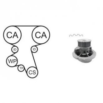 Комплект ГРМ OPEL (помпа + ремень + 3 ролика + крепеж) Astra G, Vectra B/C 95- AIRTEX wpk-167601