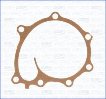 Прокладка водяного насоса Hyundai Terracan (01-06) 2.9d AJUSA 01005400