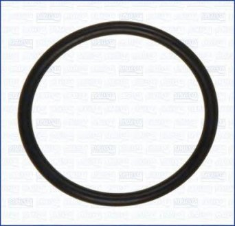 Купить Кольцо резиновое AJUSA 16023500 (фото1) подбор по VIN коду, цена 18 грн.