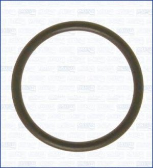 Купить Кольцо резиновое AJUSA 16060200 (фото1) подбор по VIN коду, цена 46 грн.