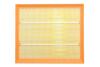 Купить Фильтр воздушный Peugeot Partner 1,2L 16-, 208/2008 1,2L 13-, 308/3008 1,2L 15- / Citroen Berlingo 1,2L 16-, C3 1,2L Альфа ALPHA FILTER af1869 (фото1) подбор по VIN коду, цена 140 грн.