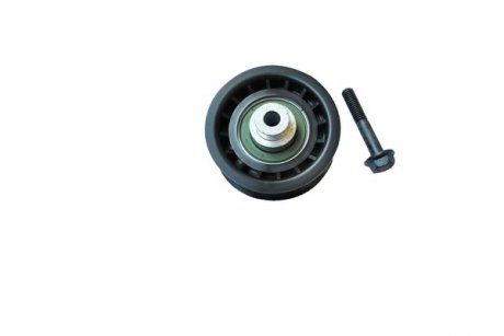 Ролик ремня генератора Citroen Jumper II/Fiat Ducato III/Ford Transit/Peugeot Boxer (06-) ASAM 71831