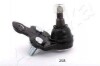 Купить Шаровая опора левая Toyota Camry V30 2001- Toyota Previa, Camry ASHIKA 73-02-208L (фото1) подбор по VIN коду, цена 550 грн.