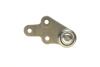 Купити Кульова опора (шарнір) (передня/знизу/R) Ford Kuga I 2.0TDCi/2.5 08- ASMETAL 10FR1781 (фото3) підбір по VIN коду, ціна 558 грн.