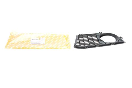 Вставка бампера (під протитуманку) BMW 5 (F10/F11) 09-13 (M-Technic) (R) AUTOTECHTEILE 703 5132