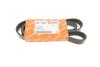 Купити Ремінь генератора Renault Kangoo 1.9D 98- (6PK1400) AUTOTECHTEILE 906 1400 (фото1) підбір по VIN коду, ціна 334 грн.