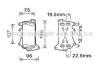 Купить Радиатор масляный КПП BMW 3 F30 (12-), 5 F10 (10-), 7 F01 (09-), X3 F25 (11-), X AVA COOLING bw3556 (фото1) подбор по VIN коду, цена 2770 грн.