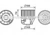 Купити Вентилятор опалювача салону Ford Focus II C-max 04> AC+/- Ford Mondeo, Kuga, Galaxy, S-Max, C-Max, Focus AVA COOLING fd8613 (фото1) підбір по VIN коду, ціна 3352 грн.