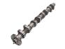 Купить Распредвал Mercedes W202, S202, W210, S210, V-Class, Vito, W203, W901, W902, W903, W904, S203 BF 20100361100 (фото1) подбор по VIN коду, цена 3447 грн.