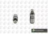 Купить Толкатель клапана BMW E36/E46/E34/T4/Bora BMW E30, E36, Volkswagen Passat, BMW E23, E32, E31, E38, E34, Audi A6, BMW E46, Audi A7, Volkswagen Jetta BGA hl6398 (фото1) подбор по VIN коду, цена 221 грн.