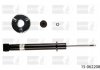 Купить Амортизатор подвески Volkswagen Passat BILSTEIN 15-062208 (фото1) подбор по VIN коду, цена 1705 грн.