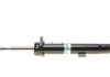 Купити Амортизатор підвіски BMW E81, E87 BILSTEIN 22-144249 (фото9) підбір по VIN коду, ціна 2971 грн.