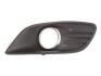 Купить Елемент бамперу Ford Focus BLIC 6502072533998CP (фото1) подбор по VIN коду, цена 264 грн.