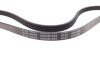 Купить Ремень генератора Fiat Tipo/Tempra 2.0 90-05/Kia Sephia/Shuma 1.5 96-01/Sorento 3.5 02- BLUE PRINT ad04r1045 (фото2) подбор по VIN коду, цена 211 грн.