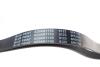 Купить Ремень поликлиновый 6PK1105 BLUE PRINT ad06r1105 (фото2) подбор по VIN коду, цена 297 грн.