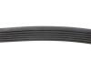 Купити Ремінь генератора VW LT 2.5TDI -06/T4 2.5 91-03/Ford Connect 1.8 TDCi 02-07/ Opel Astra 1.7 07- BLUE PRINT ad06r1718 (фото2) підбір по VIN коду, ціна 476 грн.