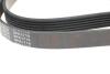 Купити Ремінь генератора VW LT 2.5TDI -06/T4 2.5 91-03/Ford Connect 1.8 TDCi 02-07/ Opel Astra 1.7 07- BLUE PRINT ad06r1718 (фото3) підбір по VIN коду, ціна 476 грн.