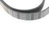 Купити Ремінь генератора VW LT 2.5TDI -06/T4 2.5 91-03/Ford Connect 1.8 TDCi 02-07/ Opel Astra 1.7 07- BLUE PRINT ad06r1718 (фото4) підбір по VIN коду, ціна 476 грн.