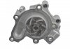 Купить Помпа воды Mazda 323/626 1.8-2.0 -02 Mazda 626, 323 BLUE PRINT adm59116 (фото2) подбор по VIN коду, цена 1658 грн.