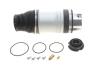 Купити Подушка пневмопідвіски (ззаду) Audi Q7/Porsche Cayenne/VW Touareg 02-15 BOGAP a3426124 (фото1) підбір по VIN коду, ціна 10522 грн.