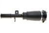 Купити Подушка пневмопідвіски (спереду) BMW X5 (E53) 00-06 (R) BOGAP b3426101 (фото3) підбір по VIN коду, ціна 9288 грн.
