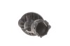 Купить Термостат BMW 3 (F30/F80)/X5 (F15/F85)/X6 (F16/F86) 11-18 N55 BOGAP b4245112 (фото2) подбор по VIN коду, цена 1927 грн.