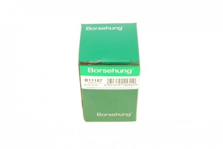Форсунка Borsehung b11157