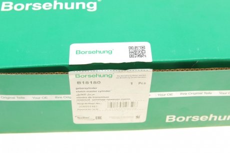 Купить Форсунка омывателя стекла Volkswagen Passat Borsehung b18180 (фото1) подбор по VIN коду, цена 1009 грн.