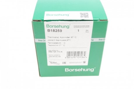Термостат Borsehung b18259