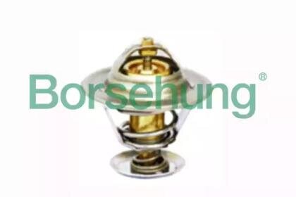 Термостат Borsehung b18281
