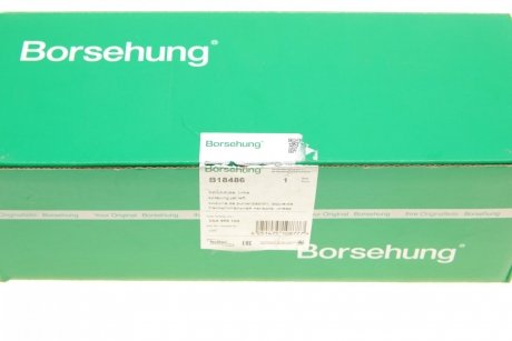 Форсунка омивача фари VW Passat 10-14 (L) (OE VAG) Borsehung b18486