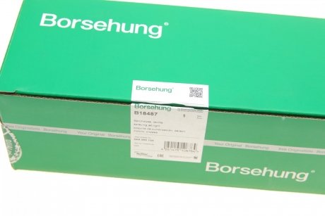 Форсунка омивача фари VW Passat 10-14 (R) (OE VAG) Borsehung b18487
