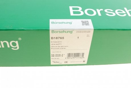 Купить Впускной клапан Borsehung b18765 (фото1) подбор по VIN коду, цена 1299 грн.
