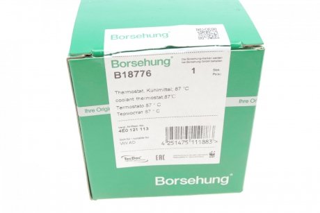 Термостат Borsehung b18776