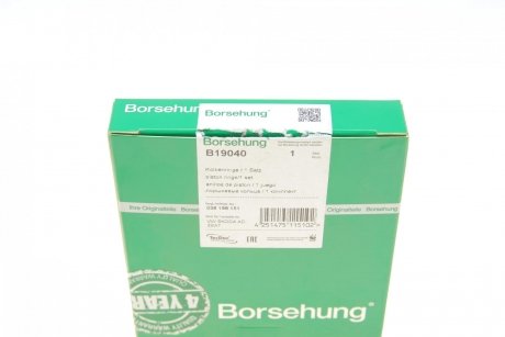 Кольца поршневые VW T4/T5 1.9TDI (79.50mm/STD) (1.75-2-3) (OE VAG) Borsehung b19040