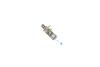 Купить ЛАМПА H1 XENONBLUE W-V Opel Corsa, BMW E21, E30, E36, E12, E28, E34, E23, E32, E31, Fiat Panda, Seat Leon, Audi 80 BOSCH 1 987 302 015 (фото5) подбор по VIN коду, цена 182 грн.