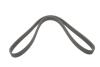 Купить Ремінь генератора Renault Twingo 0.9TCe 14- Lancia Thema, Fiat Croma, Smart Fortwo, Forfour, Renault Twingo BOSCH 1987945143 (фото1) подбор по VIN коду, цена 451 грн.
