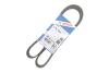 Купить Ремінь генератора Renault Twingo 0.9TCe 14- Lancia Thema, Fiat Croma, Smart Fortwo, Forfour, Renault Twingo BOSCH 1987945143 (фото2) подбор по VIN коду, цена 451 грн.