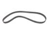 Купить Комплект ГРМ + помпа Nissan Primera 1.9dCi 02-/Renault Scenic/Megane 1.9dCi 03-(26x133z) BOSCH 1987946397 (фото11) подбор по VIN коду, цена 3314 грн.