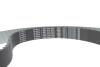 Купить Дорожный ремень Volkswagen Passat, Audi A3, Volkswagen Touran, Golf, Audi A6, Seat Altea, Skoda Octavia, Audi A4, Seat Toledo, Volkswagen Jetta, Seat Leon BOSCH 1987946471 (фото16) подбор по VIN коду, цена 5435 грн.