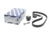 Купити Комплект ременя ГРМ Citroen C4, Peugeot 508, Fiat Scudo, Land Rover Freelander, Citroen C5, Ford Mondeo, Citroen C8, Peugeot 807, Ford Galaxy, S-Max, Peugeot Expert BOSCH 1987946699 (фото2) підбір по VIN коду, ціна 3107 грн.
