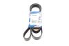 Купити Ремінь генератора Ford Scorpio II/Toyota Camry 2.4i/3.5i 94- (7PK1905) Ford Scorpio, Toyota Camry, Rav-4 BOSCH 1 987 946 850 (фото1) підбір по VIN коду, ціна 817 грн.