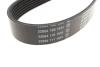 Купити Ремінь генератора Ford Scorpio II/Toyota Camry 2.4i/3.5i 94- (7PK1905) Ford Scorpio, Toyota Camry, Rav-4 BOSCH 1 987 946 850 (фото2) підбір по VIN коду, ціна 817 грн.